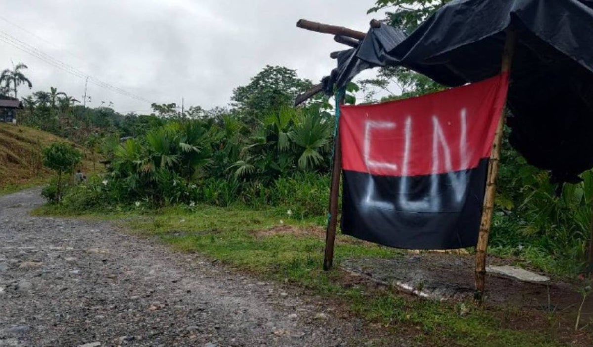 ELN - Aniversario - 2025