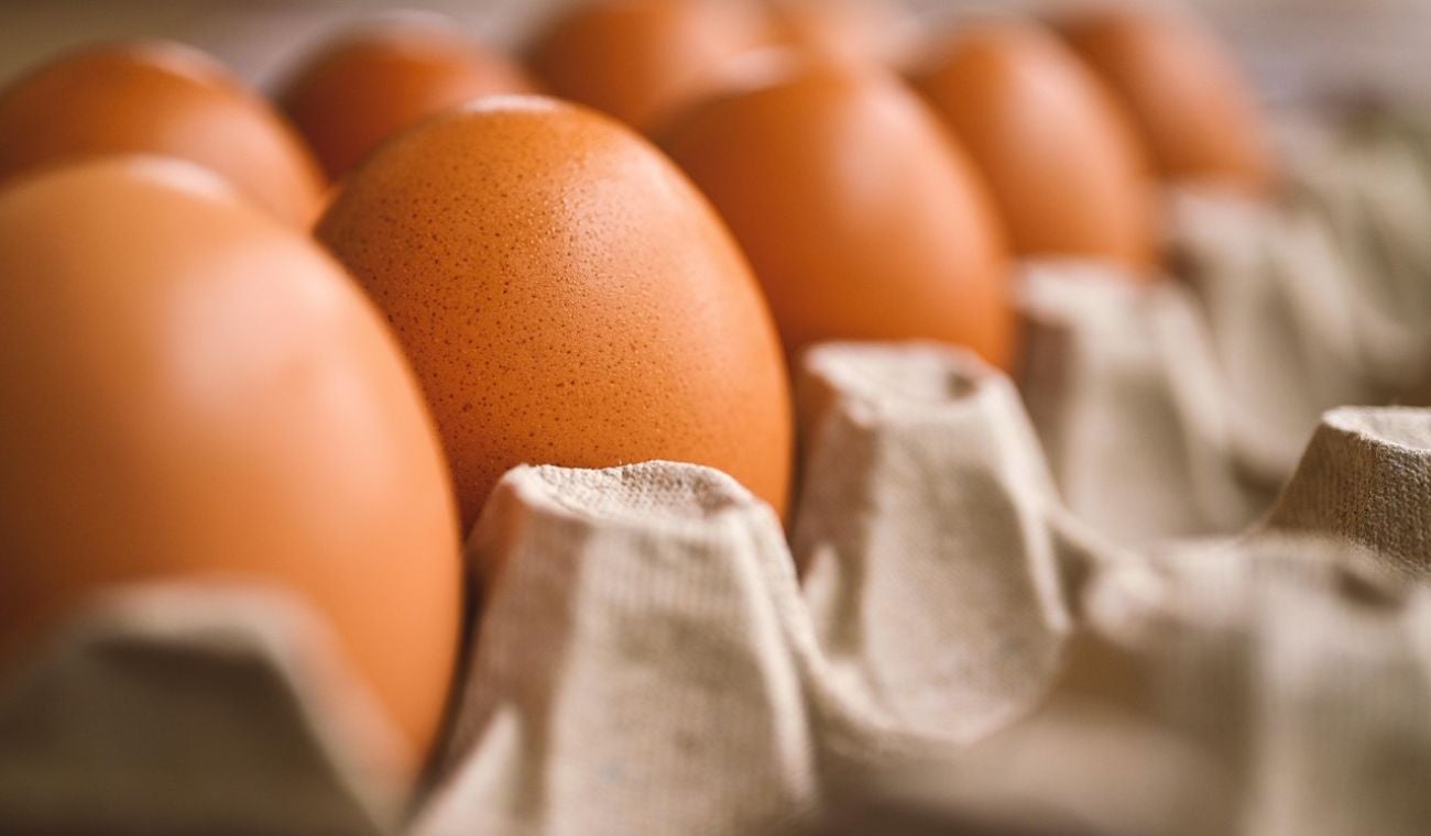RETIRAN famosa marca de PAN por contener ALÉRGENO OCULTO