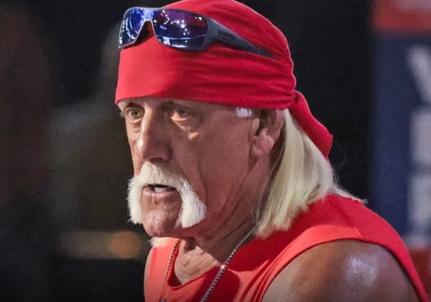 Hulk Hogan, luchador