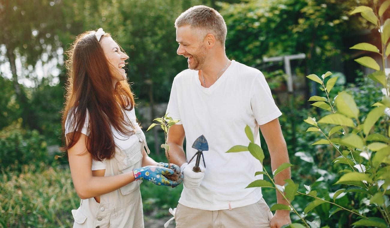 Qué PLANTA regalarle a su PAREJA según el FENG SHUI