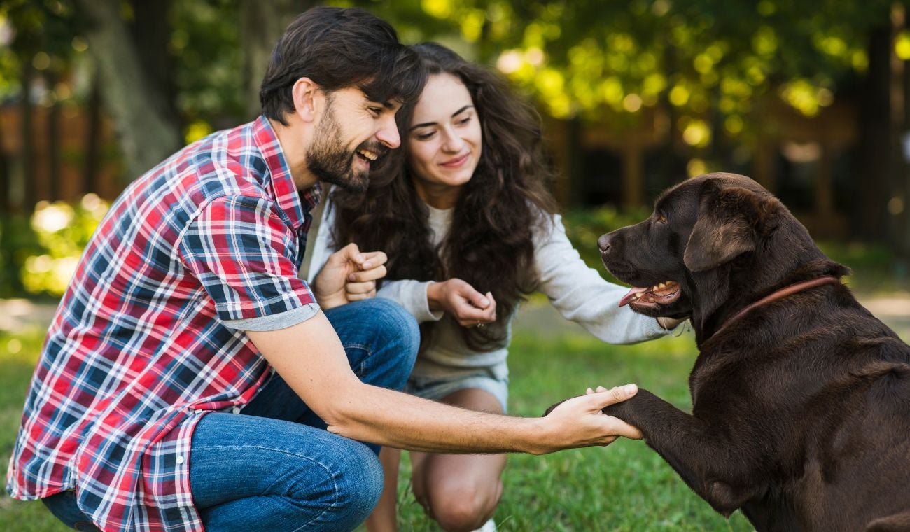 Dueños de perros en alerta por cambios en la ley