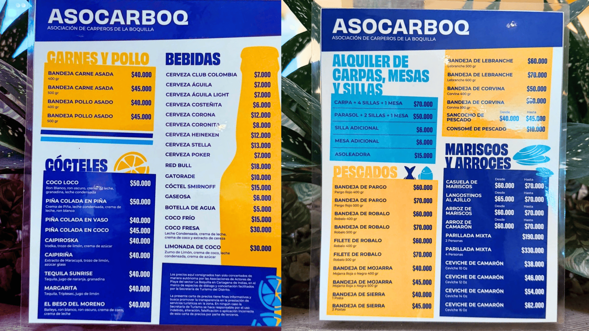 Precios actualizados de las playas de Cartagena en 2025