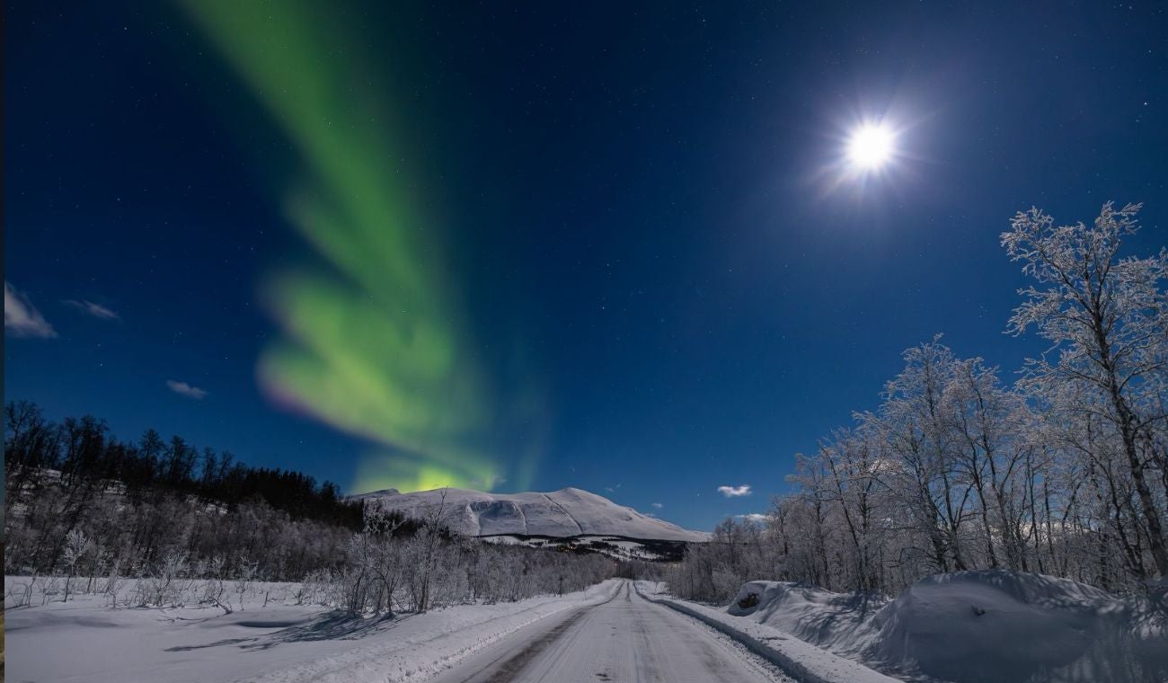 Así puede ver auroras boreales en Bogotá: Llega exposición