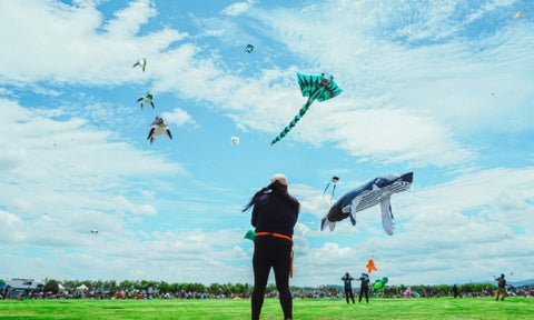 Festival del Viento
