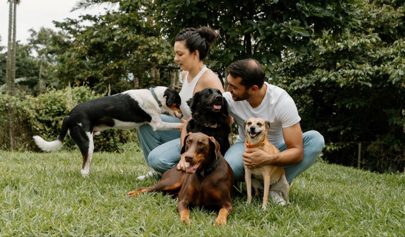 MULTA a dueños de PERROS de 0.000 por incumplir norma