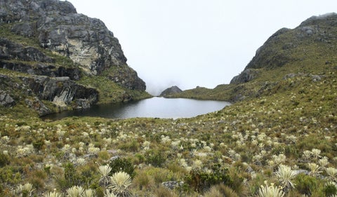 Páramo de Santurbán
