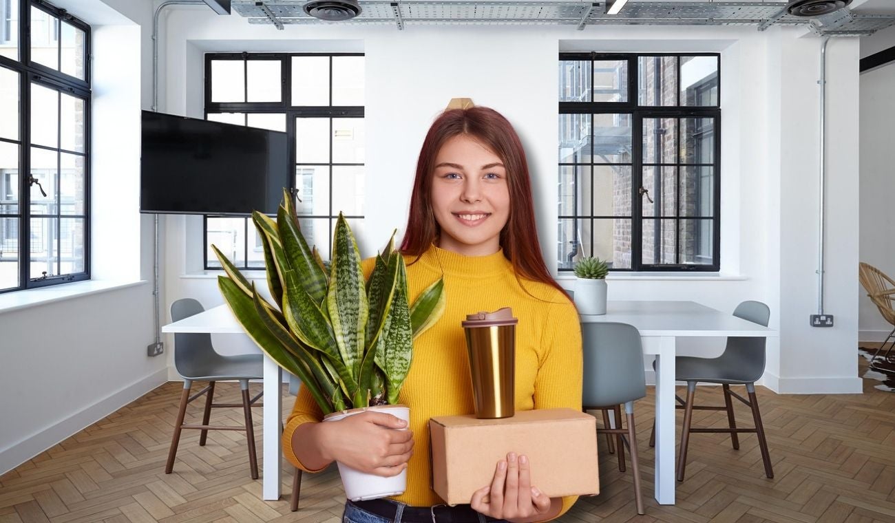 Feng shui: por qué evitar lengua de suegra como adorno en oficinas