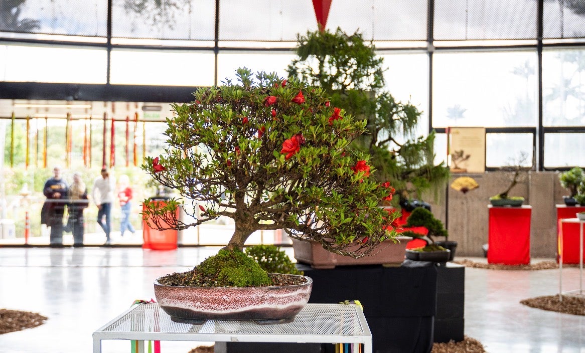 Exhibición en el jardín botánico