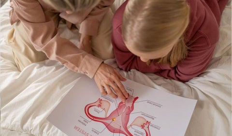 Infecciones vaginales y enfermedades de trasmisión sexual