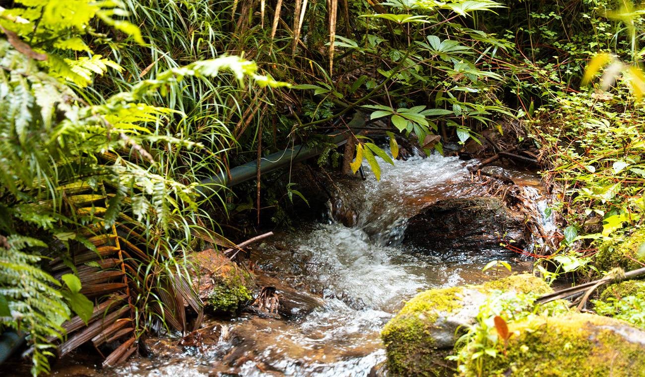 Industria Licorera de Caldas, verificación de Huella de Agua