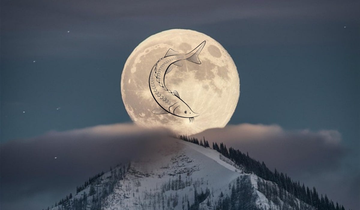 luna de esturión