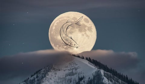 luna de esturión