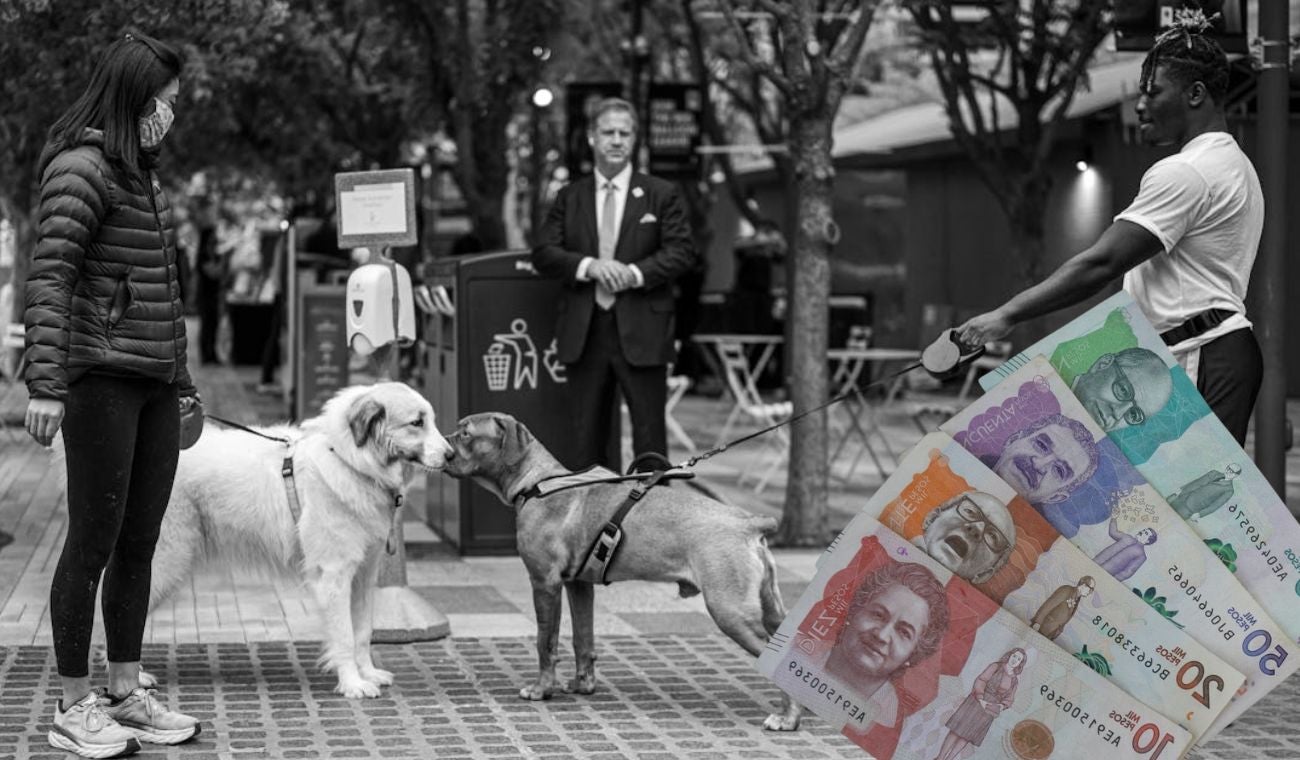 Sanciones a dueños de perros que incumplen normativas