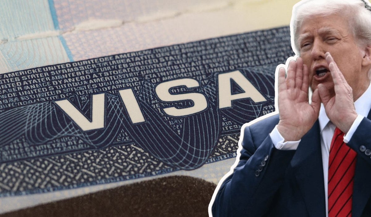 Visa, Donald Trump