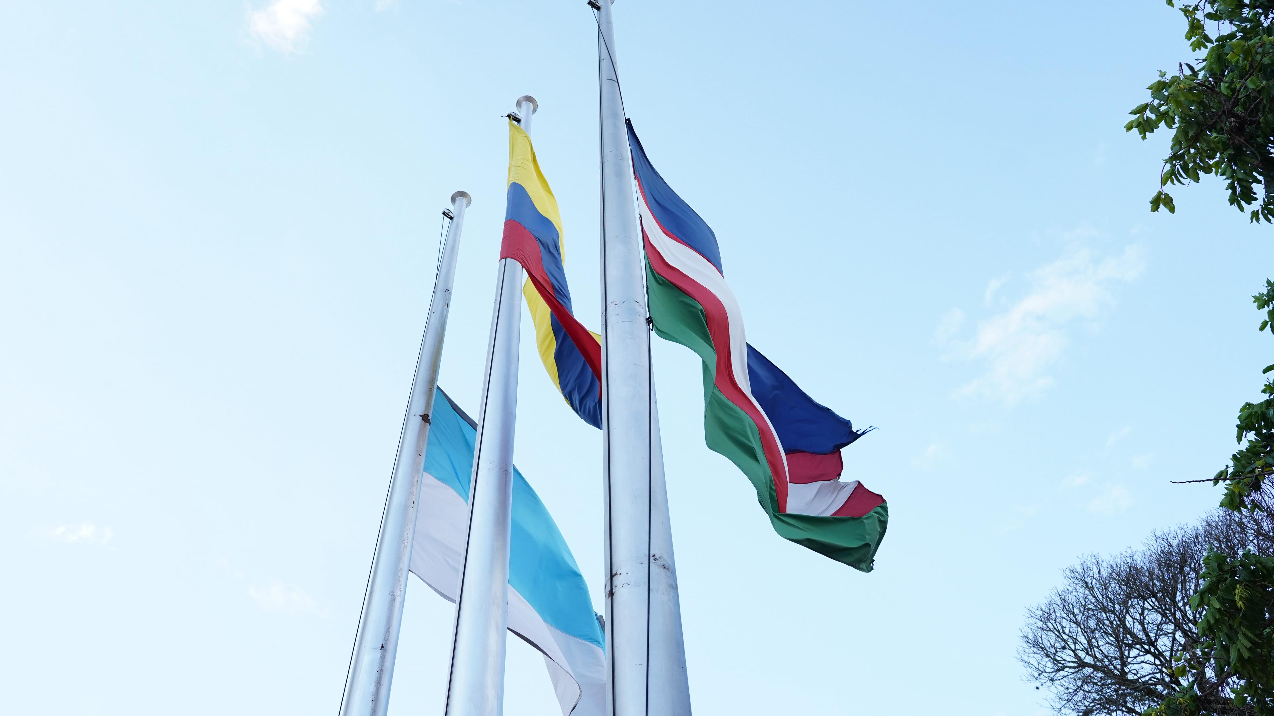 Banderas en el Valle del Cauca