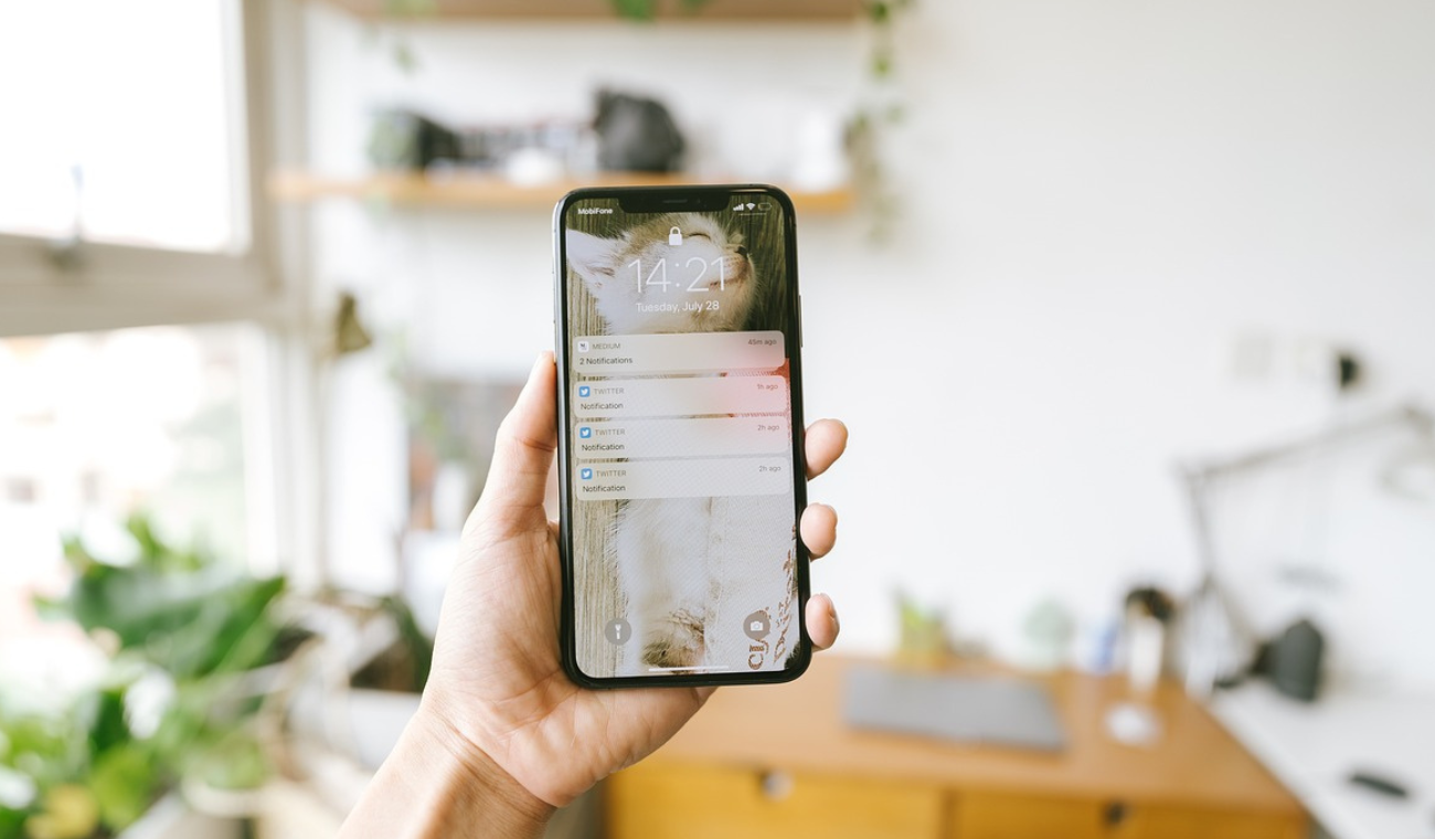 Los formatos de texto de WhatsApp, como la negrita y la cursiva, ayudan a destacar información clave.
