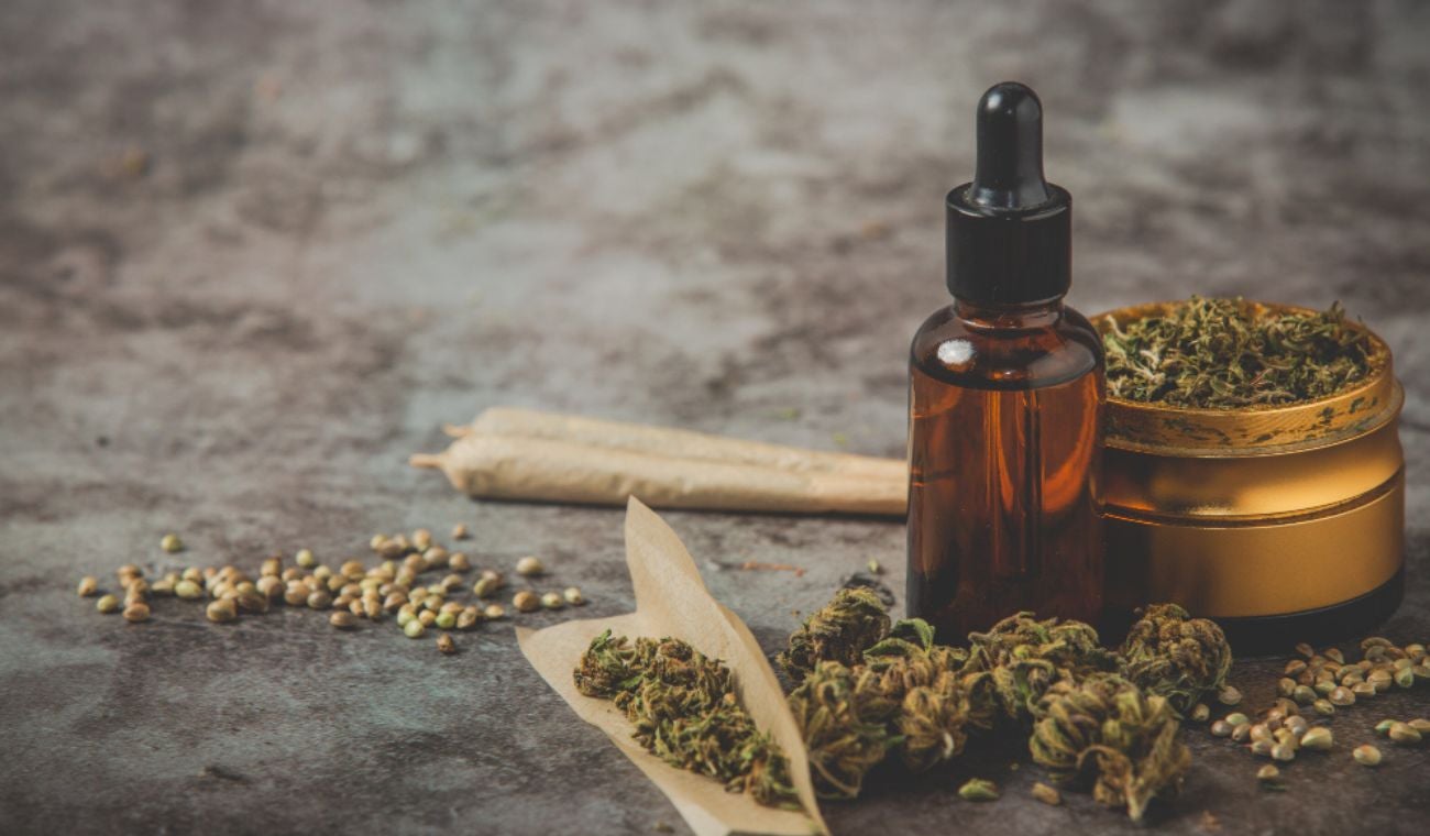 UNIVERSIDADES podrían INVESTIGAR en CANNABIS MEDICINAL: nueva norma en Colombia