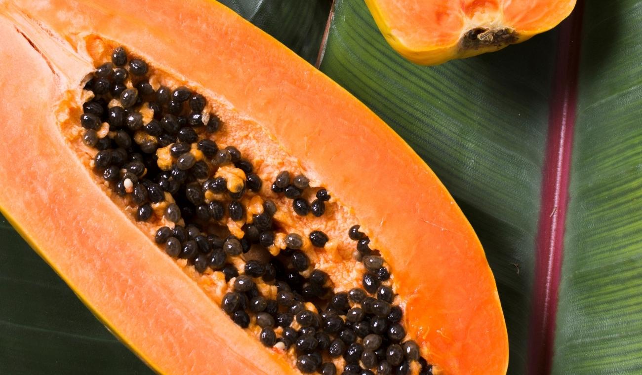 SEMILLAS de PAPAYA: la forma natural de eliminar parásitos