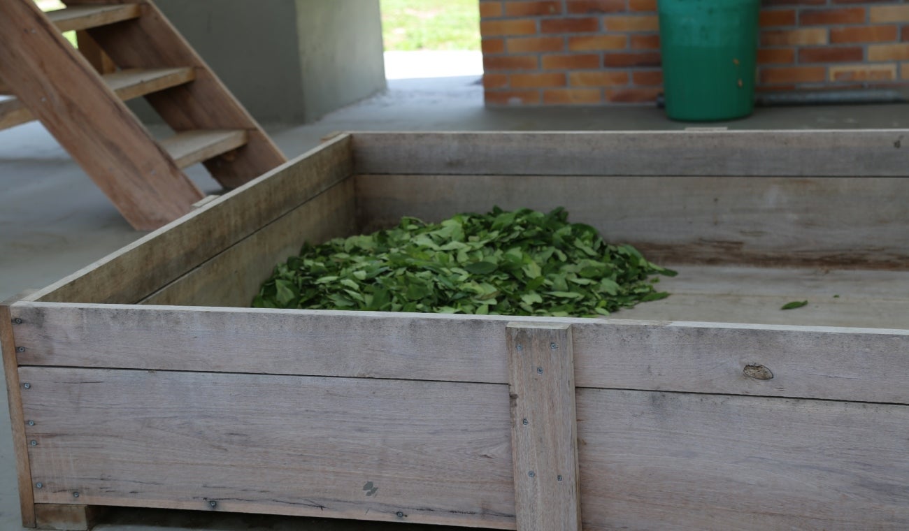 DESERTIFICACIÓN de Colombia en lucha contra NARCOTRÁFICO afectaría el comercio nacional