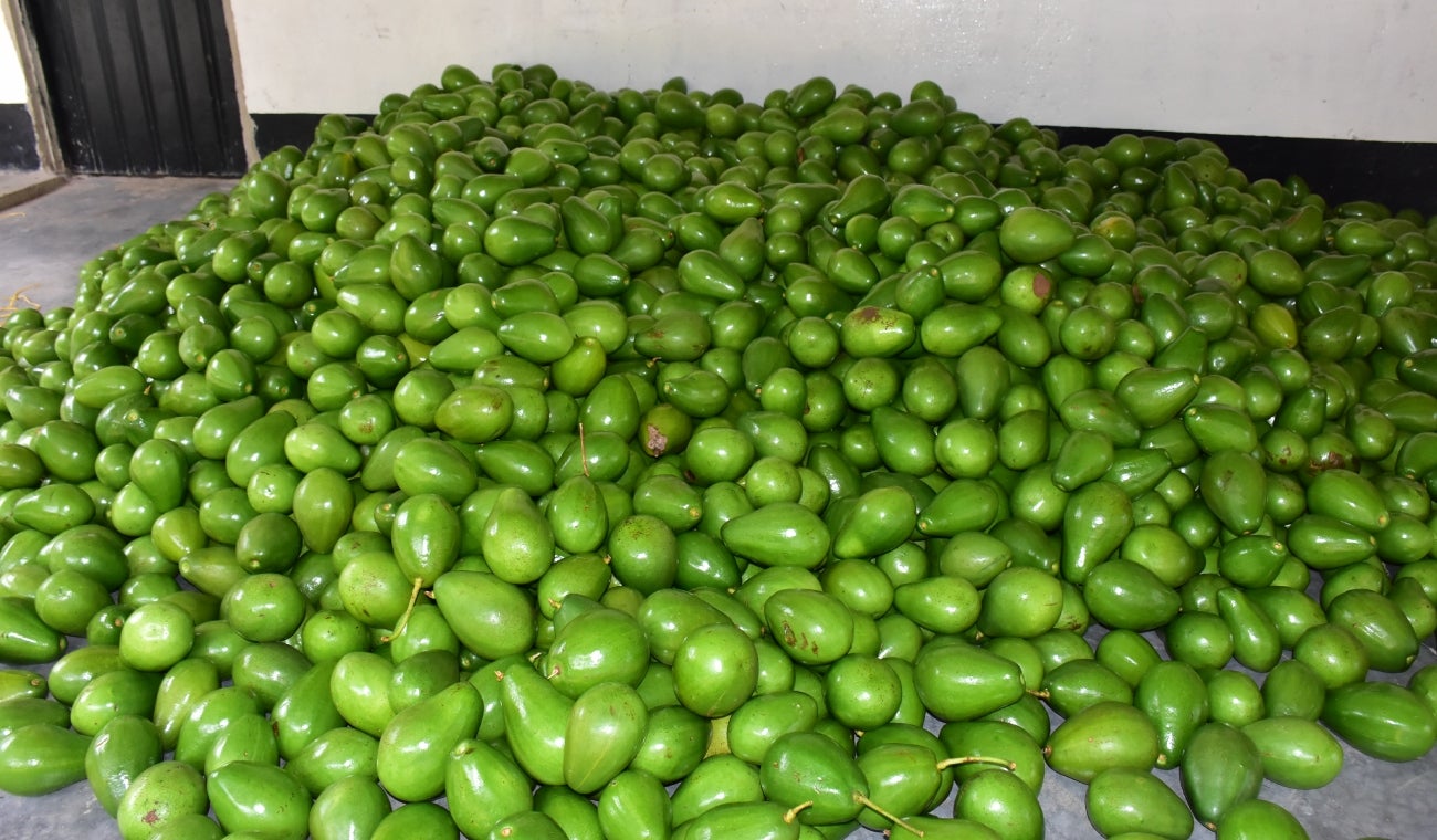 Estos PRODUCTOS COLOMBIANOS podrían entrar a ESTADOS UNIDOS SIN ARANCELES