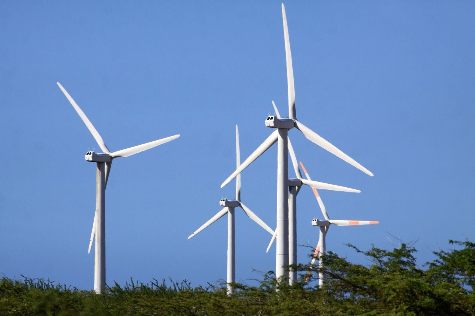 Parques eólicos, licencias ambientales, viento, energía