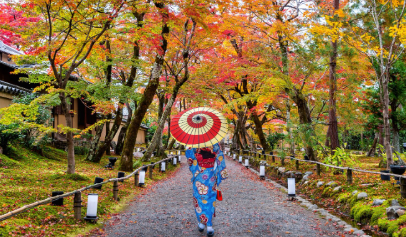 Japón en otoño