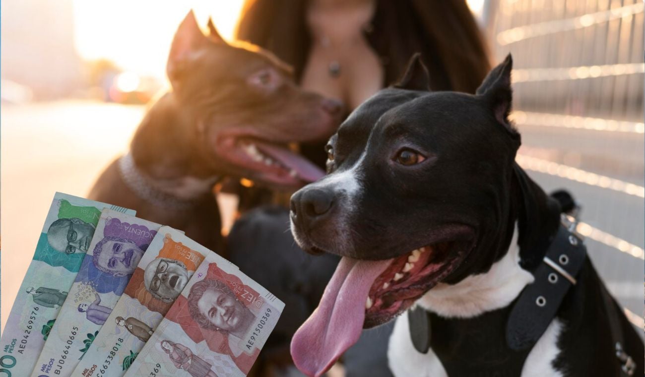 Pago por un ataque de una mascota a otra