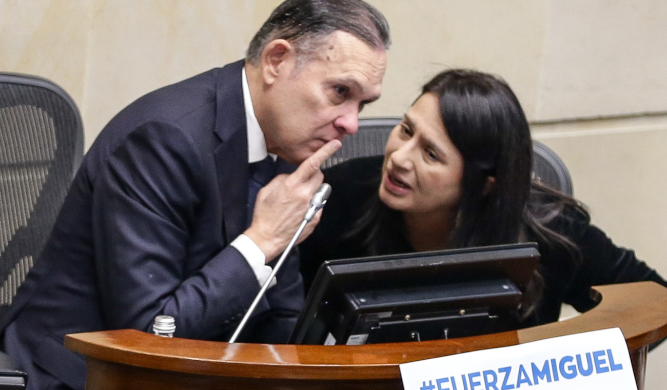 Demanda de nulidad contra decreto de exportación de carbón a Israel: senadora Paola Holguín pide suspensión provisional.