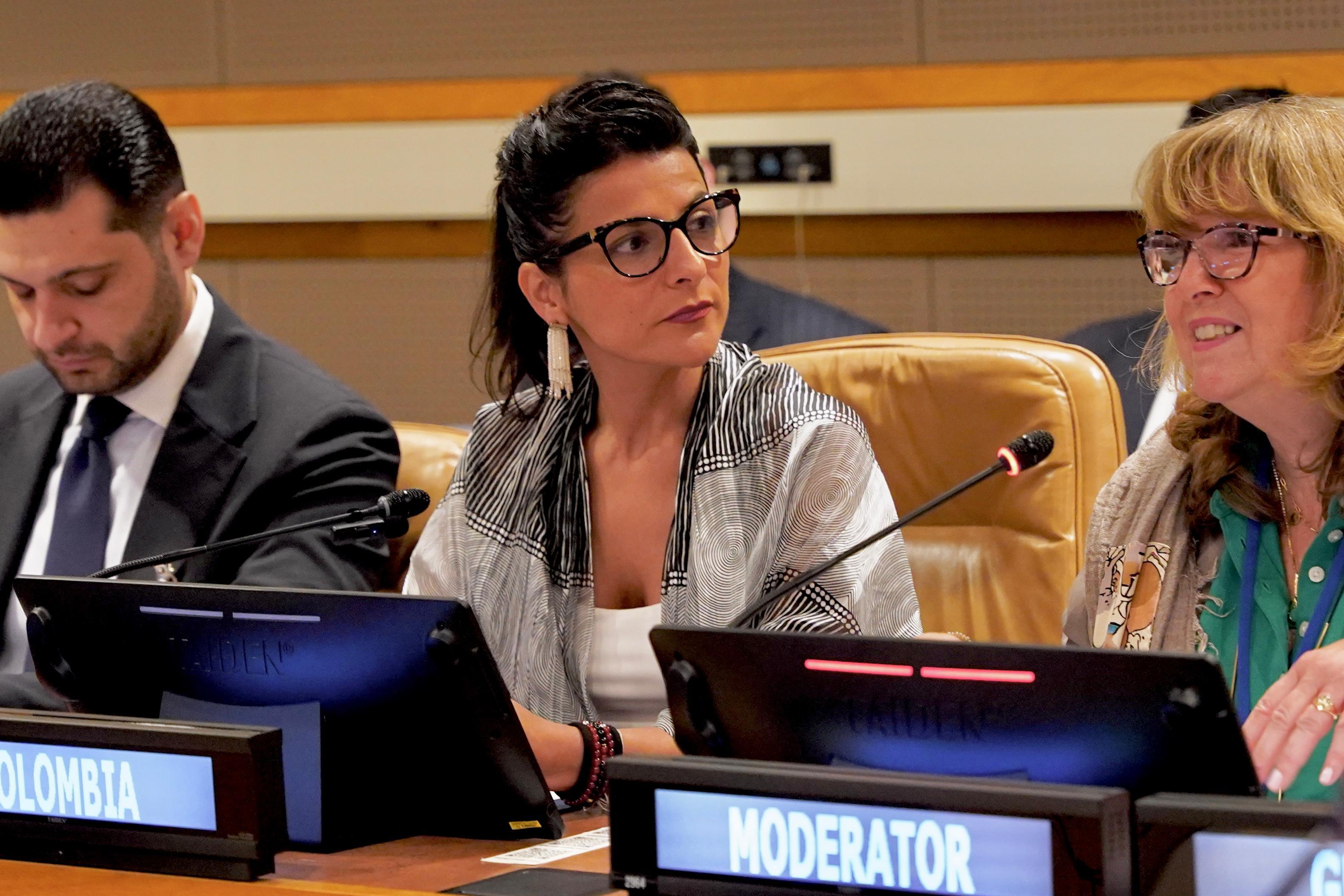 Irene Vélez, MinAmbiente, Reunion Ministerial Asamblea de la ONU