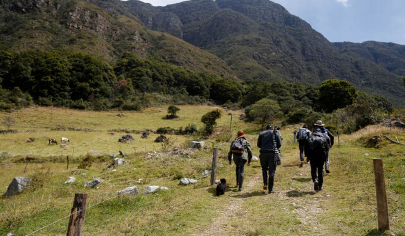 Felipe Harman, director de la Agencia Nacional de Tierras, habla sobre la distribución y formalización de predios en Colombia