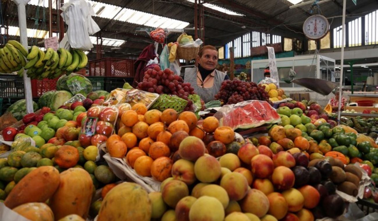 Beneficios de las verduras: expertos en nutrición destacan su importancia para prevenir enfermedades y proteger la salud