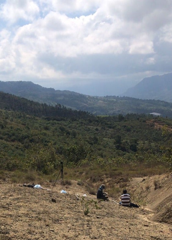 Científicos descubren uno de los fósiles más antiguos hallados en Colombia