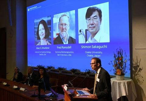 Mary E. Brunkow, Fred Ramsdell y Shimon Sakaguchi, ganadores del Nobel de Medicina 2025