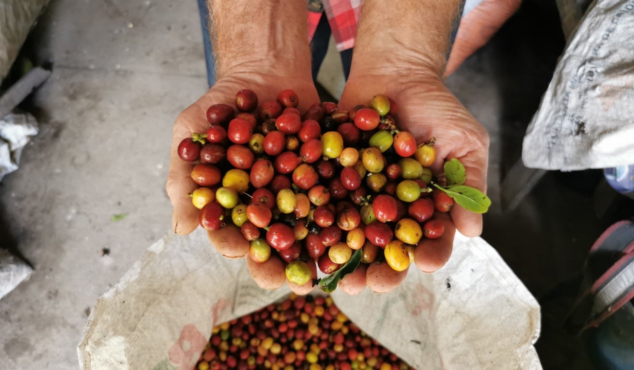 Cafe Quindío