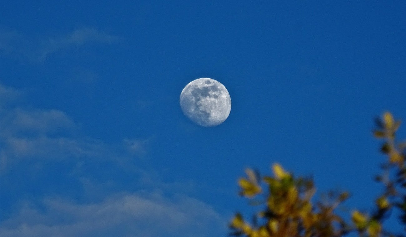 Calendario lunar para cortar el cabello: las mejores fases para que el cabello crezca en octubre 2025