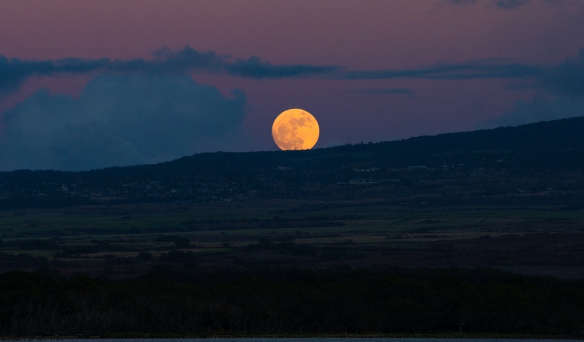 Cuándo ver la superluna de octubre 2025 significado, influencia astrológica y en el cabello