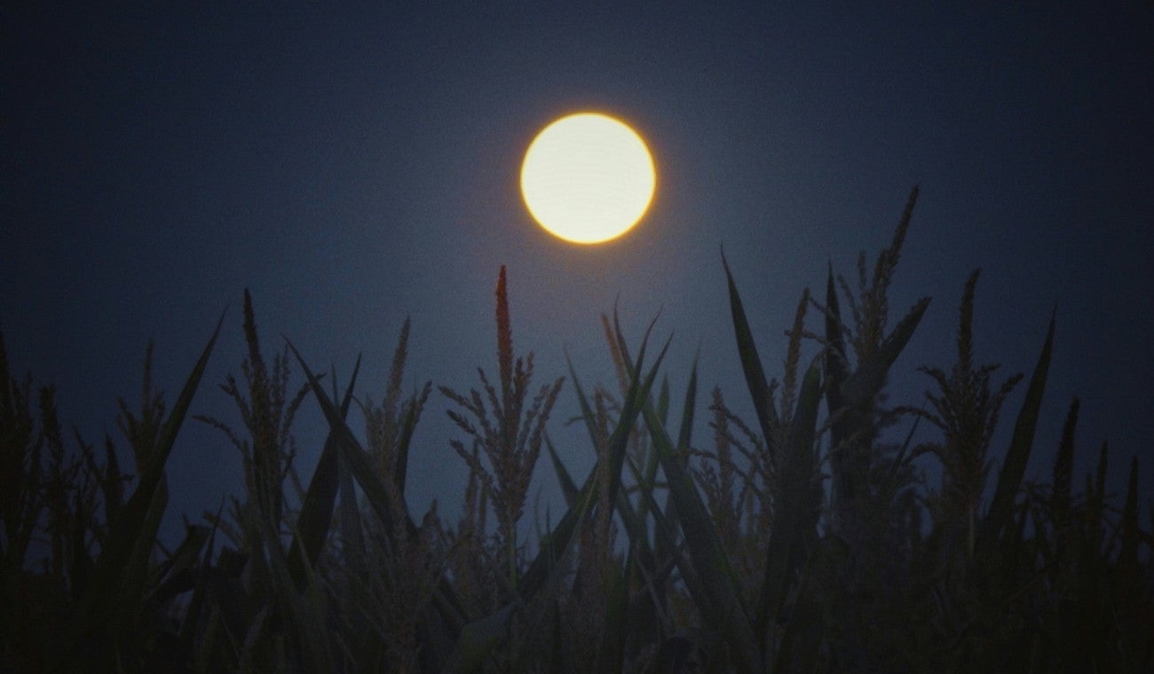 SUPERLUNA de OCTUBRE 2025: significado, visibilidad y tradiciones