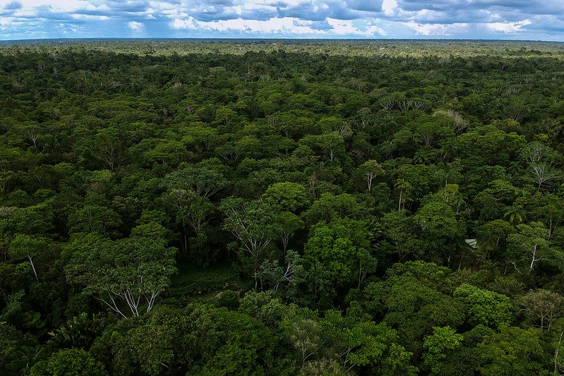 Amazonía