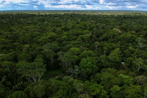 Amazonía