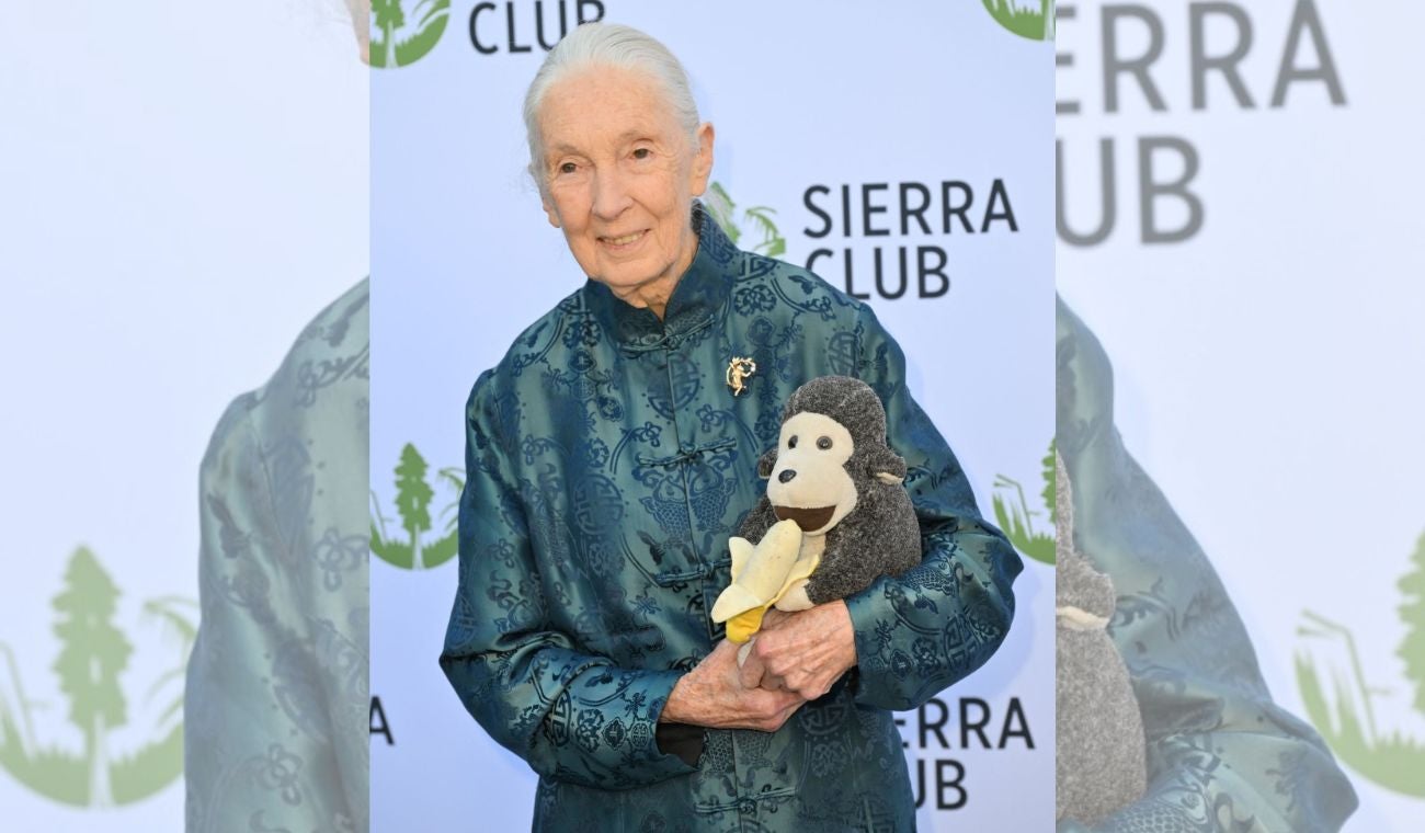 Jane Goodall falleció a los 91 años