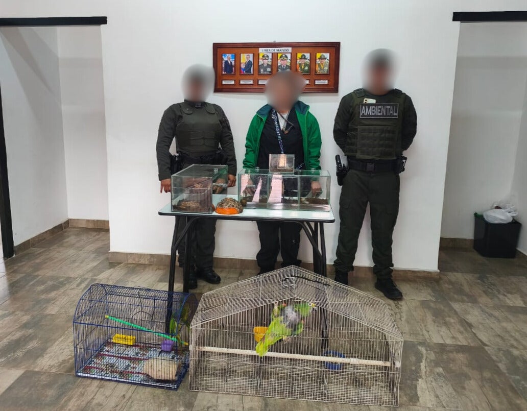 Animales recuperados, trafico de fauna, semana de receso