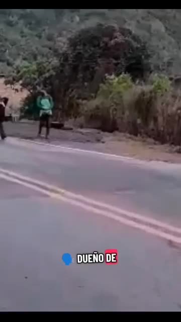 titulo