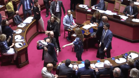 426826giphygif-1.gif