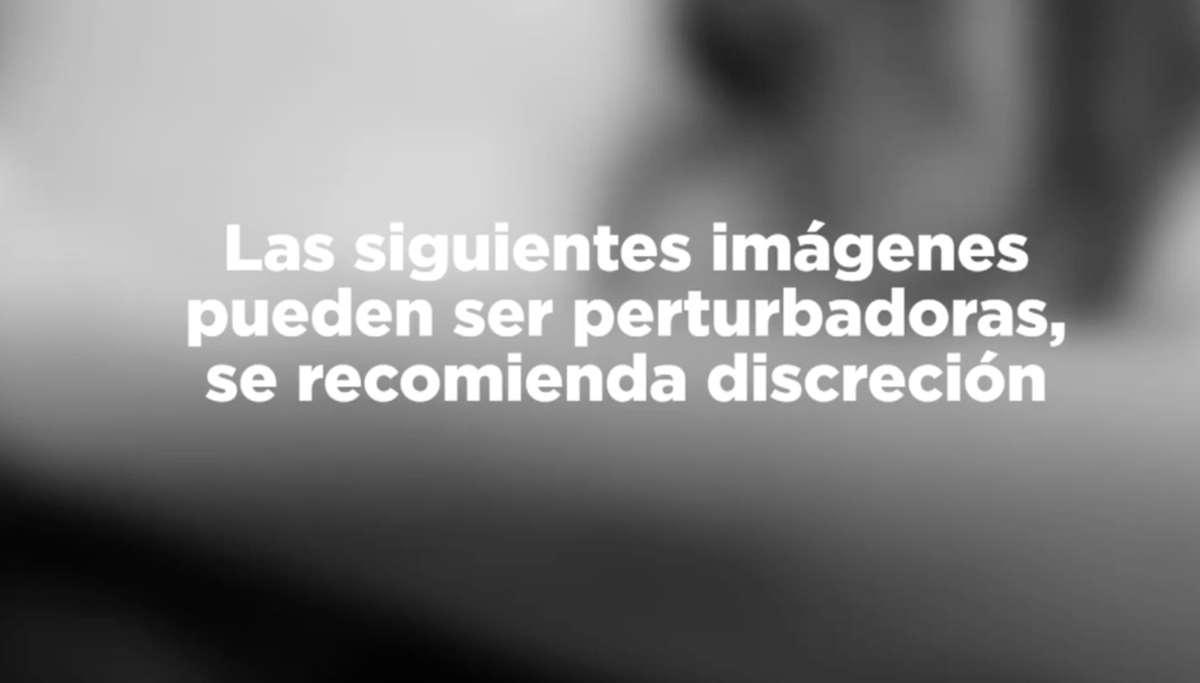 AliciaMachadoIMAGENESSENSIBLES1.png