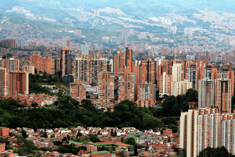 Altavista-Cortesía-Ciudad-Mota.png