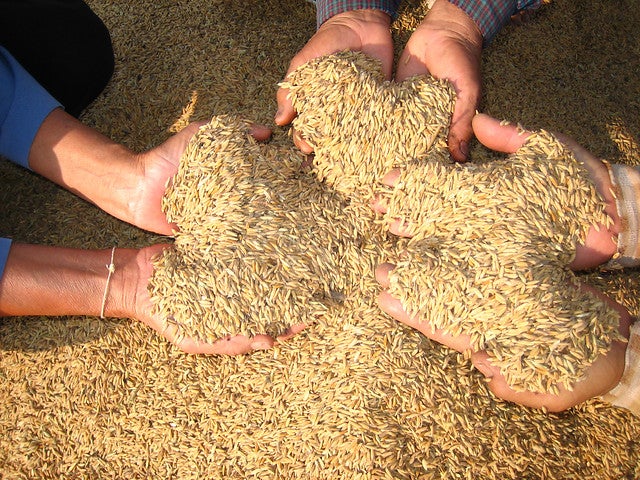 Arroz-LA-FM-Colprensa.jpg