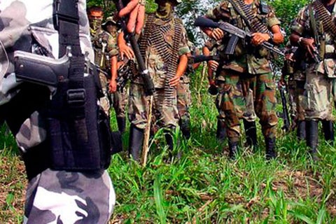 Autodefensas.jpg