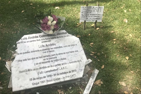 COLMENARES.jpg