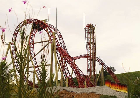 COLP_137115.jpg
