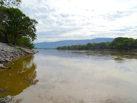COLP_140959.jpg